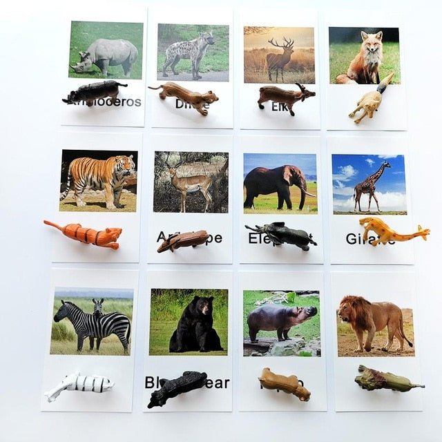 24Pcs/Set Montessori baby Learning English Animals Kids Card Early Educational practical life Toys For Children L2666F