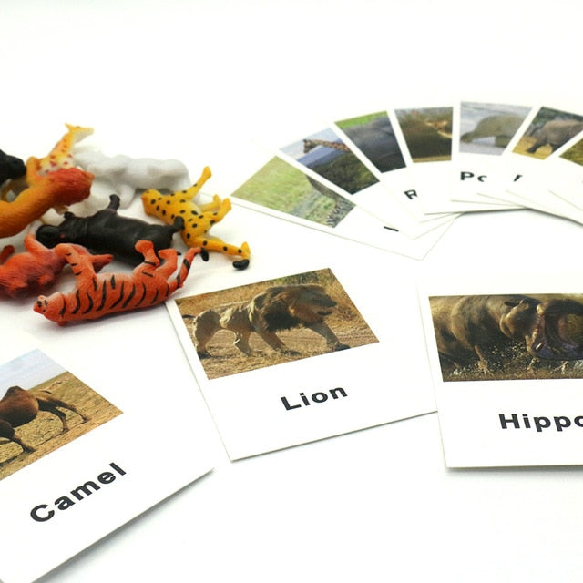 24Pcs/Set Montessori baby Learning English Animals Kids Card Early Educational practical life Toys For Children L2666F