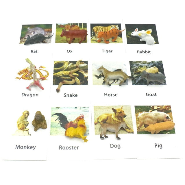 24Pcs/Set Montessori baby Learning English Animals Kids Card Early Educational practical life Toys For Children L2666F